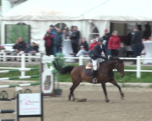 Reitturnier Ried am Riederberg 2022