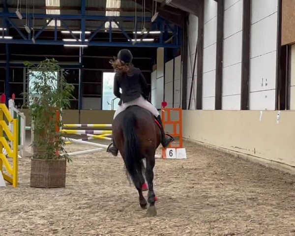 Video of Fuu Verla