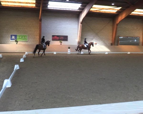 Reitturnier Kamen 2022