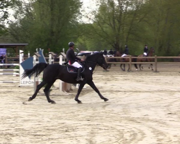 Reitturnier Kamen 2022