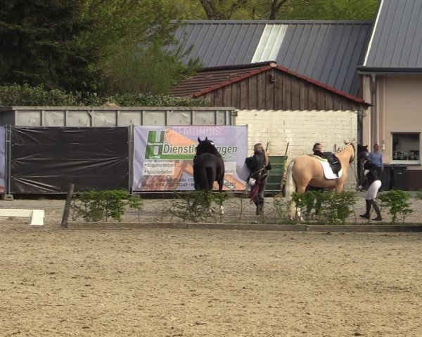 Pony- und Juniorenturnier Olfen-Vinnum 2022