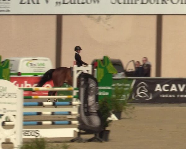 Pony- und Juniorenturnier Olfen-Vinnum 2022