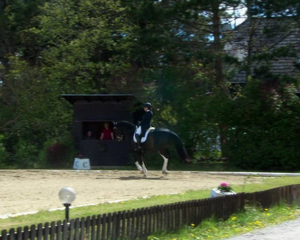 Reitturnier Kottingbrunn 2022