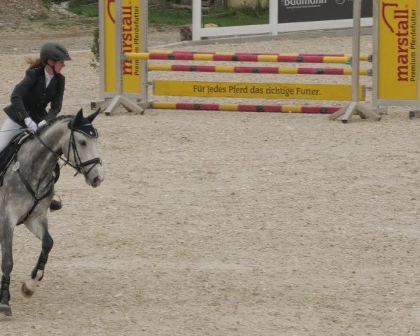 Springturnier Memmingen 2022