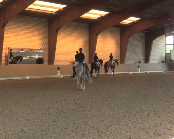 Reitturnier Kamen 2022