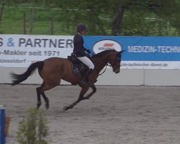 Reitturnier Monheim - Gut Blee 2022