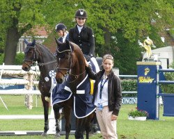 Springpferd Sternchen 292 (Holsteiner, 2002, von Limbus)