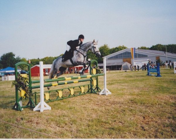 jumper Cascane (Holsteiner, 1995, from Cascavelle)