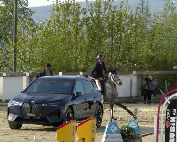 Reitturnier Wädenswil 2022