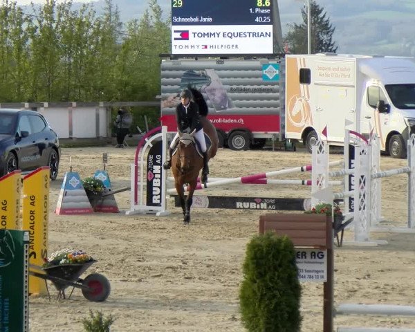 Reitturnier Wädenswil 2022