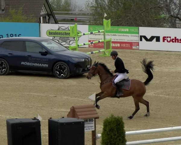 Reitturnier Wädenswil 2022