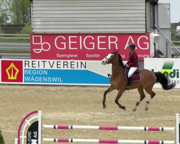 Reitturnier Wädenswil 2022