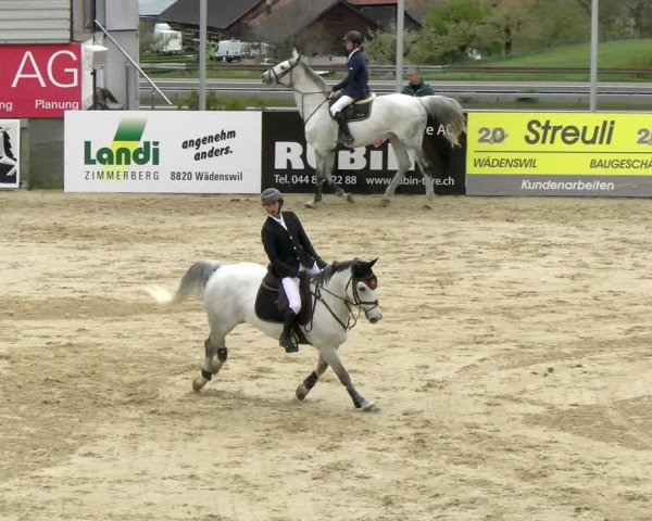 Reitturnier Wädenswil 2022