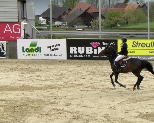 Reitturnier Wädenswil 2022