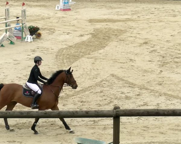 Reitturnier Wädenswil 2022