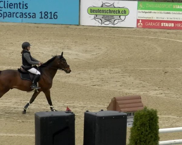 Reitturnier Wädenswil 2022