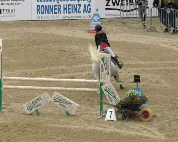 Reitturnier Wädenswil 2022