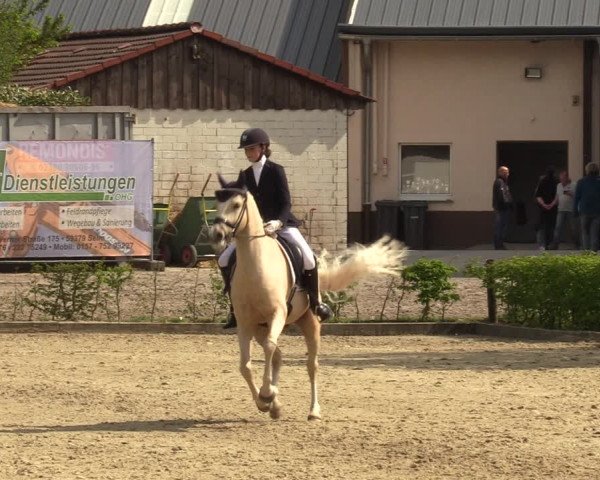 Pony- und Juniorenturnier Olfen-Vinnum 2022