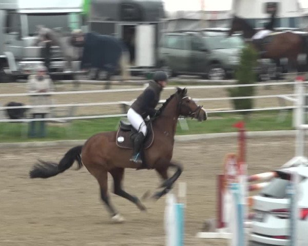 Reitturnier Ried am Riederberg 2022