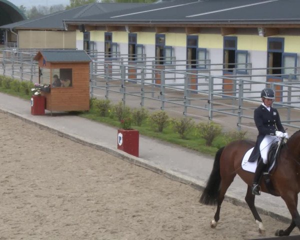 Reitturnier Gerasdorf bei Wien 2022