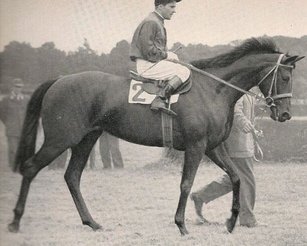 broodmare Ischia xx (Thoroughbred, 1953, from Ticino xx)
