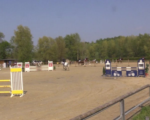 Reitturnier Kamen 2022