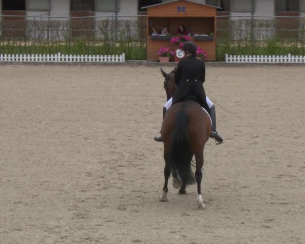 Reitturnier Gerasdorf bei Wien 2022
