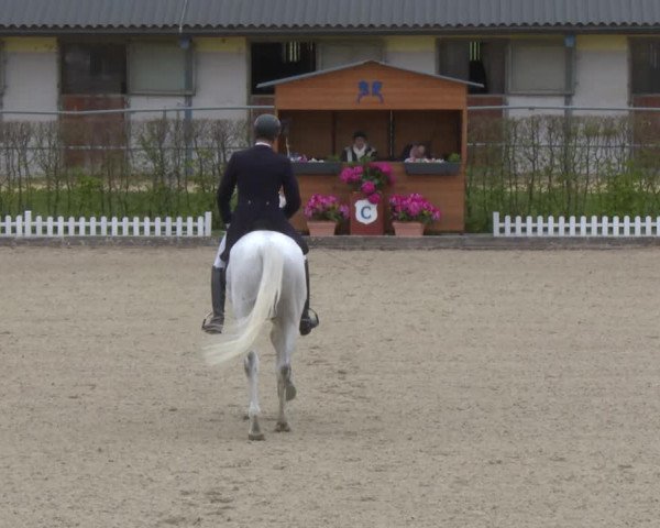 Reitturnier Gerasdorf bei Wien 2022