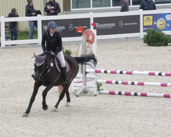 Springturnier Memmingen 2022