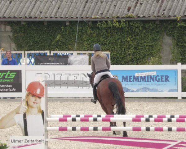 Springturnier Memmingen 2022