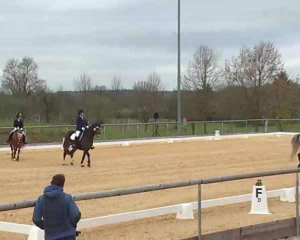 Reitturnier Altentrüdingen/Mfr. 2022