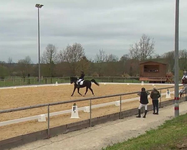 Reitturnier Altentrüdingen/Mfr. 2022