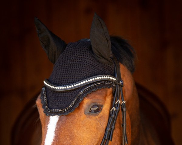 Dressurpferd Rinia (Deutsches Sportpferd, 2017, von Rivero II) Dressurpferd Rinia (Deutsches Sportpferd, 2017, von Rivero II)