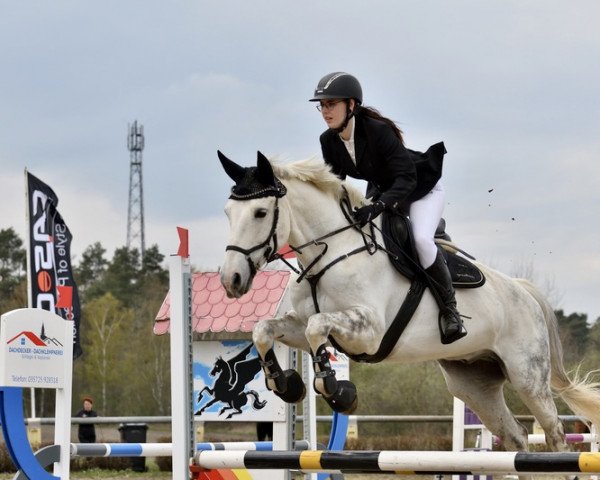 Pferd Lucca Toni (Deutsches Sportpferd, 2009, von Lipsius)