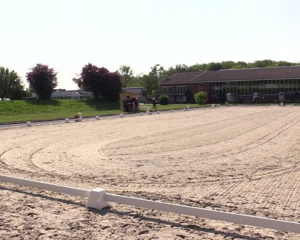 Reitturnier Langenfeld - Gut Langfort 2022