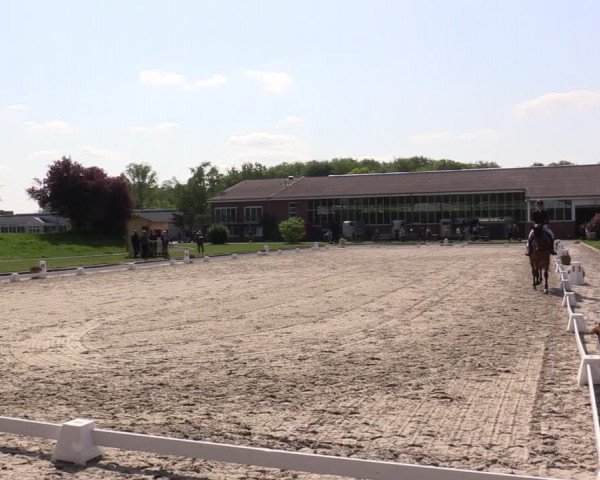 Reitturnier Langenfeld - Gut Langfort 2022
