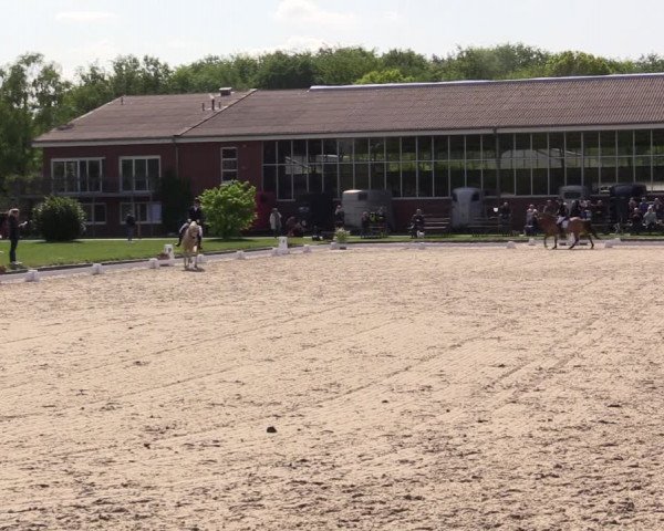 Reitturnier Langenfeld - Gut Langfort 2022