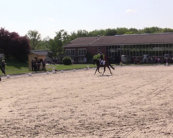 Reitturnier Langenfeld - Gut Langfort 2022