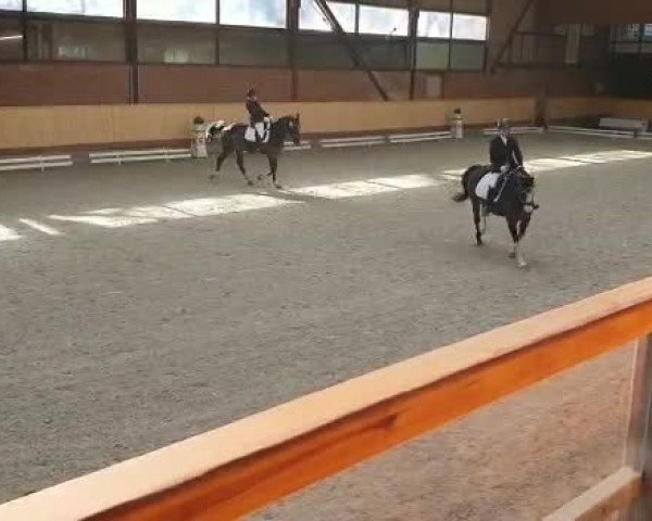 Reitturnier Hamburg-Friedrichshulde/Sylva Kuhrt 2022