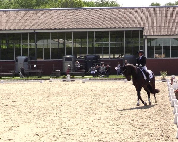 Reitturnier Langenfeld - Gut Langfort 2022