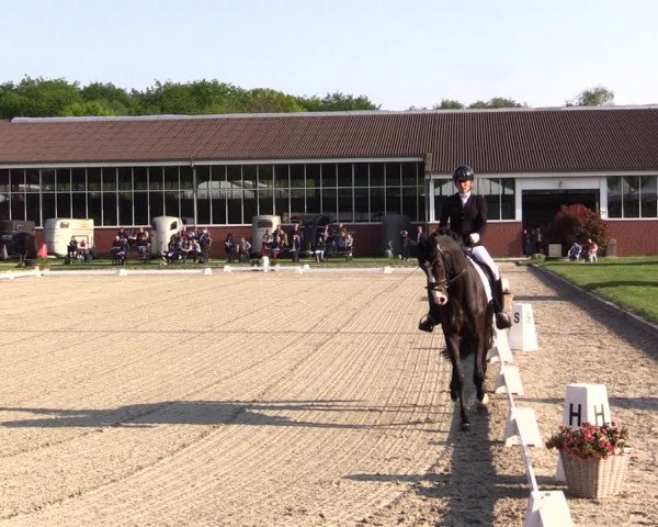 Reitturnier Langenfeld - Gut Langfort 2022