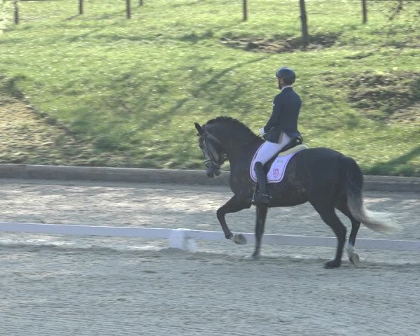 FEI Reitturnier Troisdorf (GER) 2022