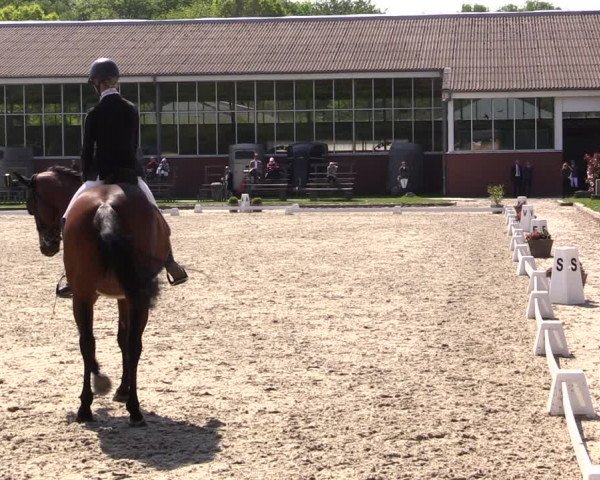 Reitturnier Langenfeld - Gut Langfort 2022