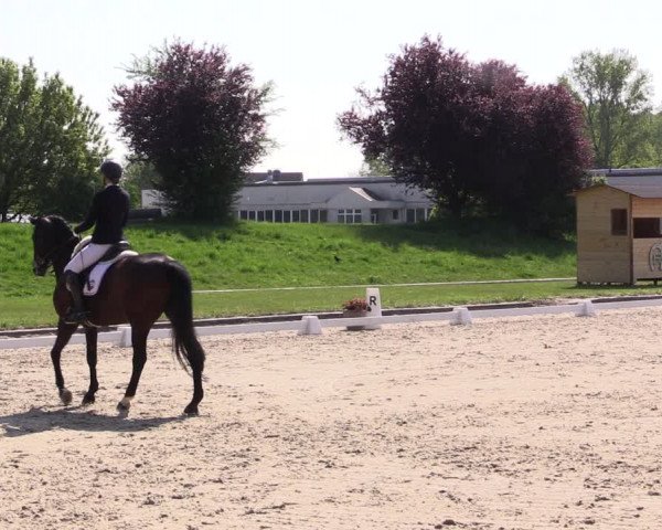 Reitturnier Langenfeld - Gut Langfort 2022