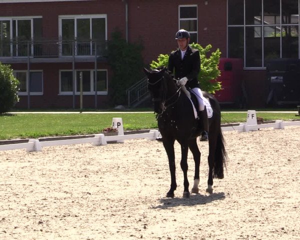 Reitturnier Langenfeld - Gut Langfort 2022