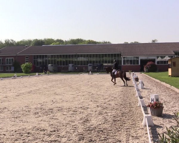 Reitturnier Langenfeld - Gut Langfort 2022