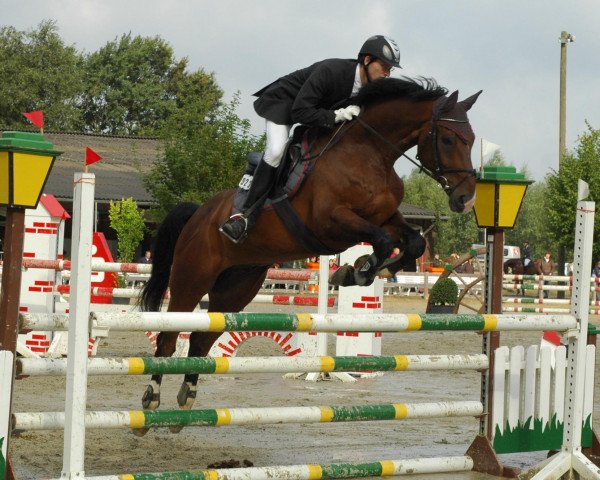 jumper Rocco di Papa 2 (Hanoverian, 1996, from Rabino)