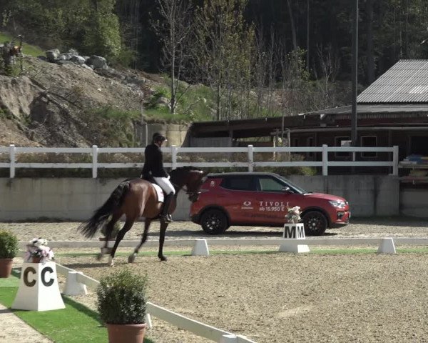 FEI Reitturnier St. Margarethen (AUT) 2022