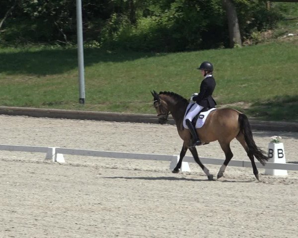 FEI Reitturnier Troisdorf (GER) 2022