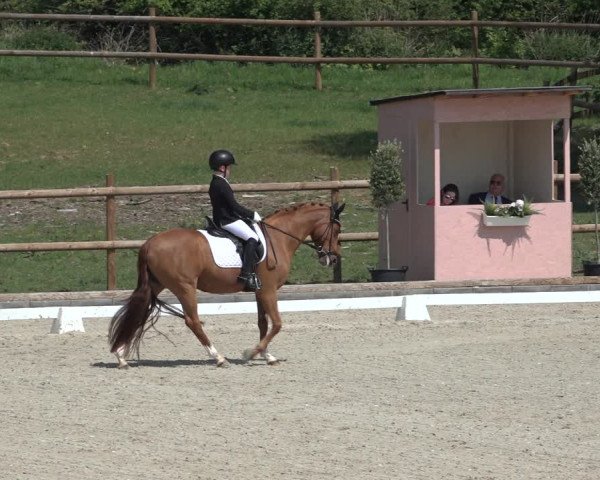 FEI Reitturnier Troisdorf (GER) 2022